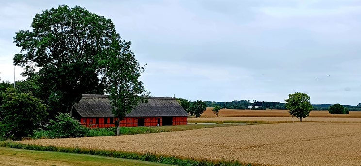 Tidligere lå bøndernes gårde samlet i en landsby. I forbindelse med landbo- reformerne blev mange gårde flyttet ud fra landsbyen til bondens egen jord. Denne udflytning præger stadig det danske landskab, idet gårdene ligger spredt i landskabet som her på Bornholm. Foto: Tue Schou Pedersen.