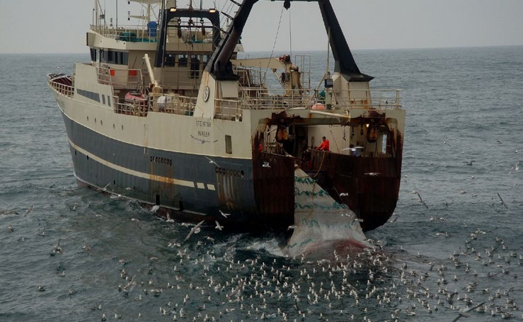 Fiskeri fra færøsk trawler