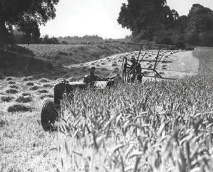 Traktor på dansk landbrug i 1950’erne.