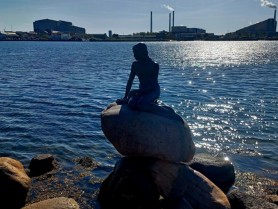 Statuen af Den Lille Havfrue ved Langelinie i København. Foto: Tue Schou Pedersen.